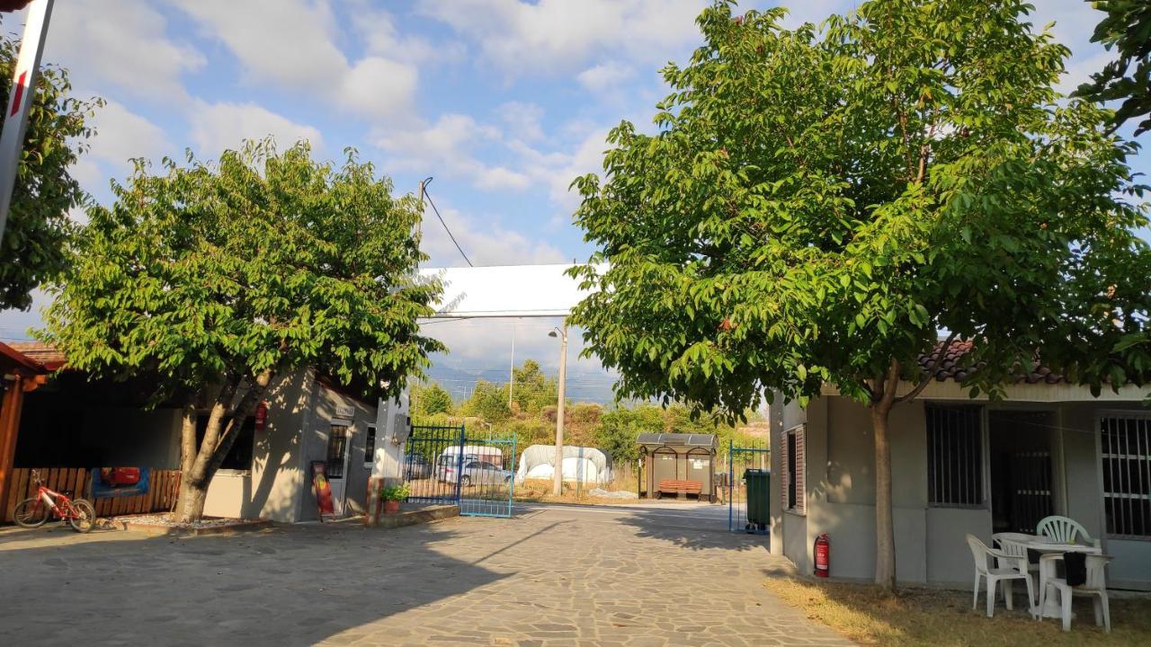Camping Mitikas And Bungalows 플라카 리토코로우 외부 사진