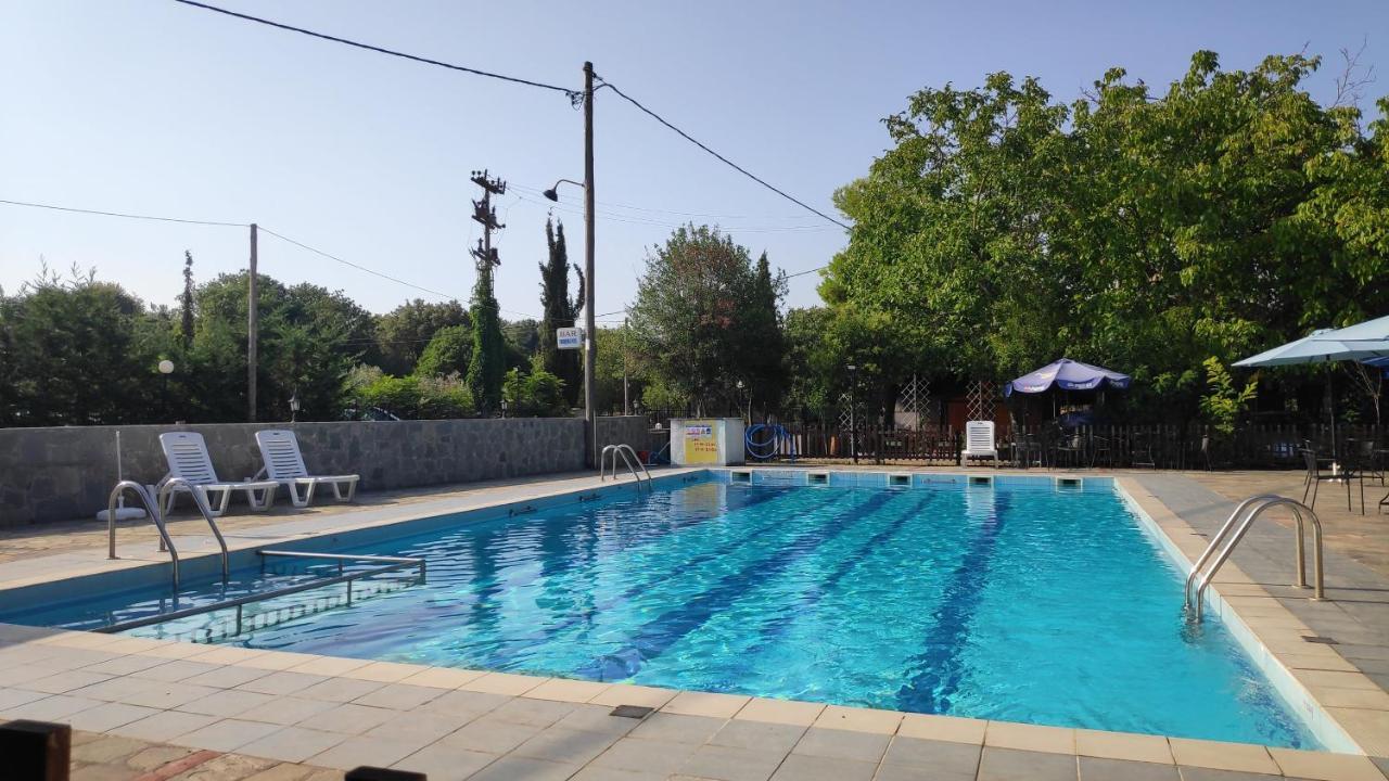 Camping Mitikas And Bungalows 플라카 리토코로우 외부 사진