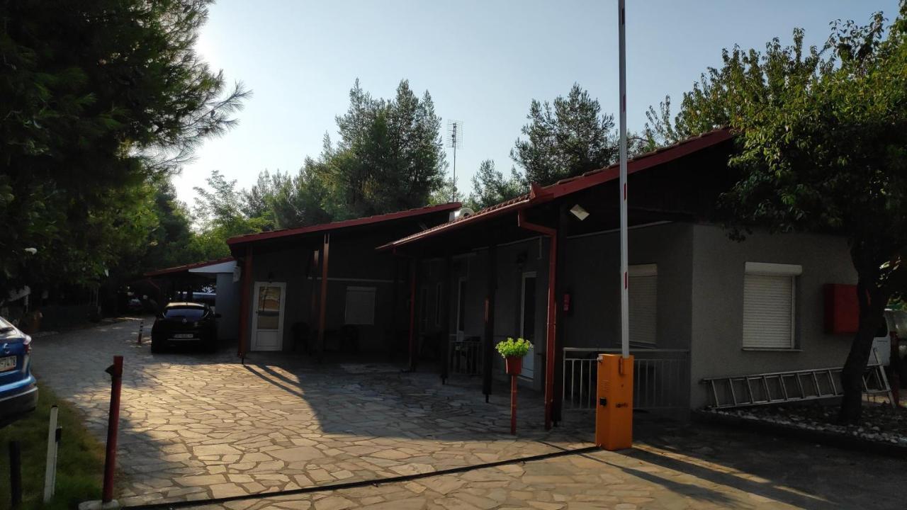 Camping Mitikas And Bungalows 플라카 리토코로우 외부 사진